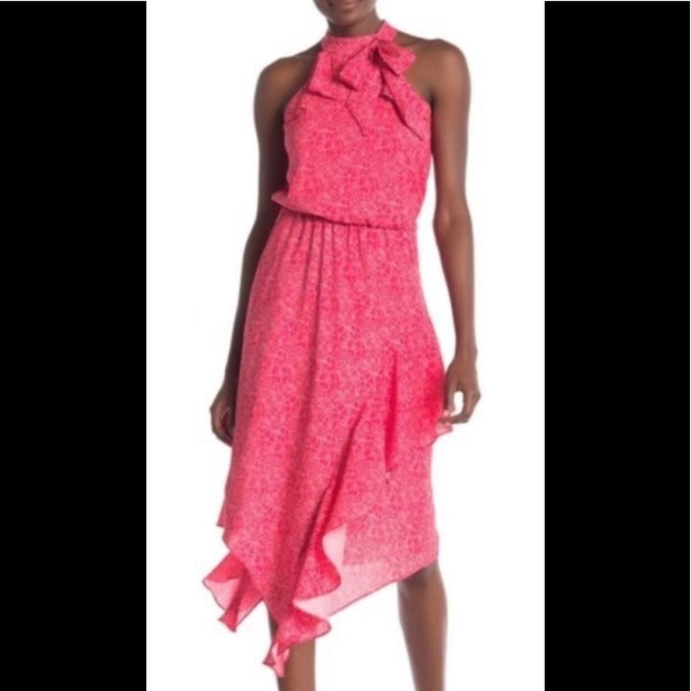 Parker Dress perfect condition !NWT